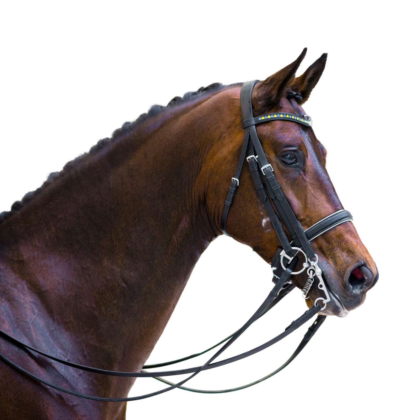 What Horses Hear: How Sound Shapes Equine Health, Performance, and Emotional Balance What Horses Hear: How Sound Shapes Equine Health, Performance, and Emotional Balance