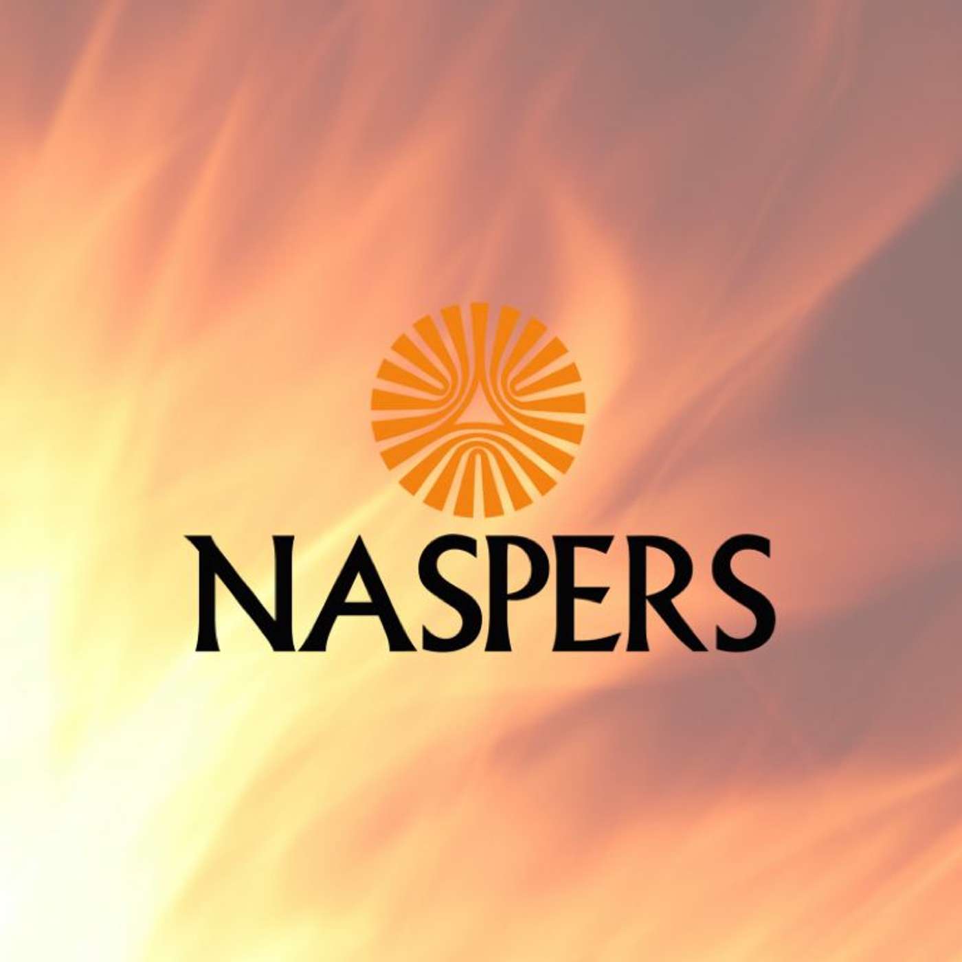 Naspers Wilting In The Heat + DEMO Africa 2016 Highlights episode artwork
