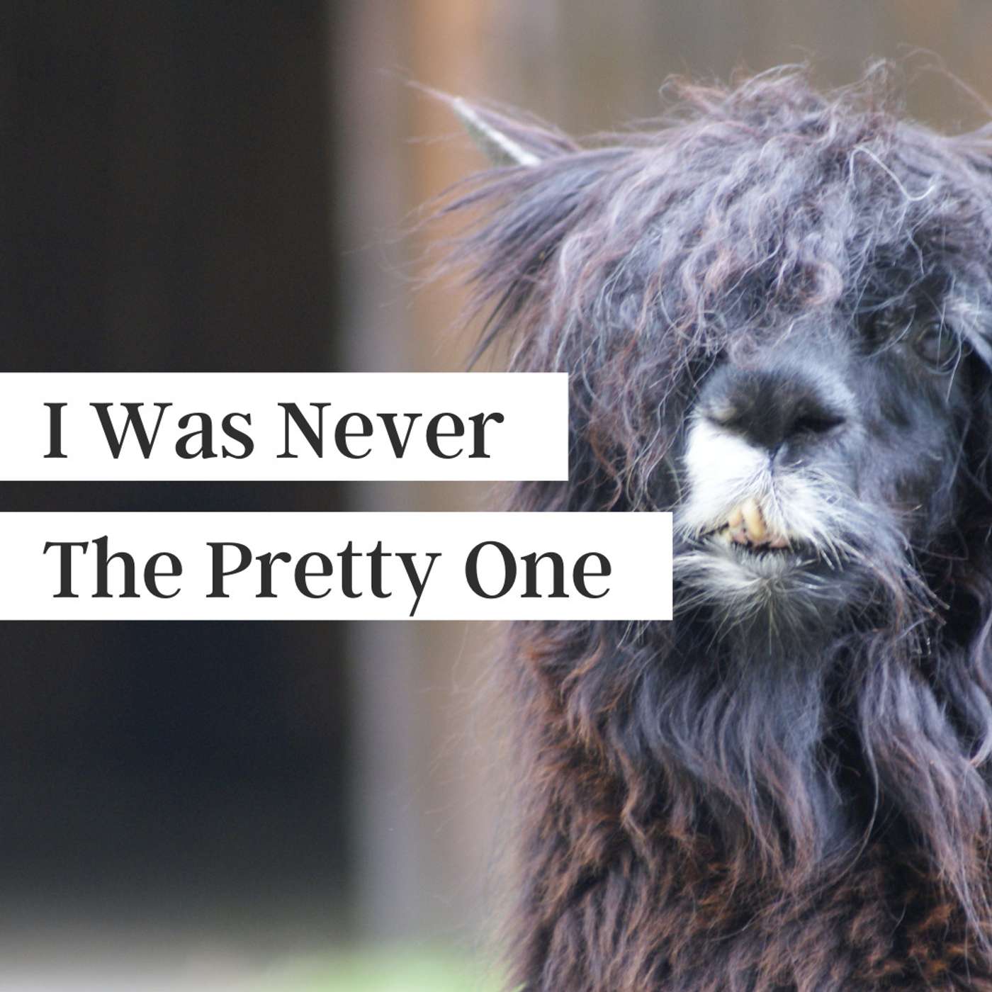 The Gutsy Boss with Becky Mollenkamp