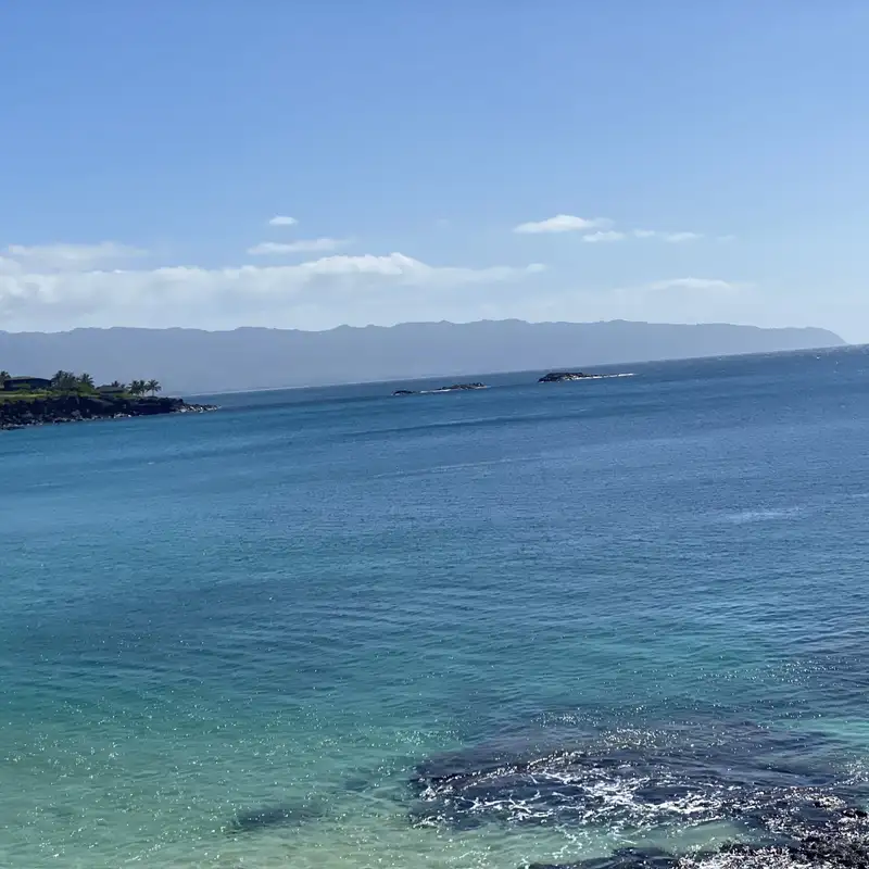 Technopoly Unleashed: Part 2 - Raw Rebellion Against Technology’s Mind Trap