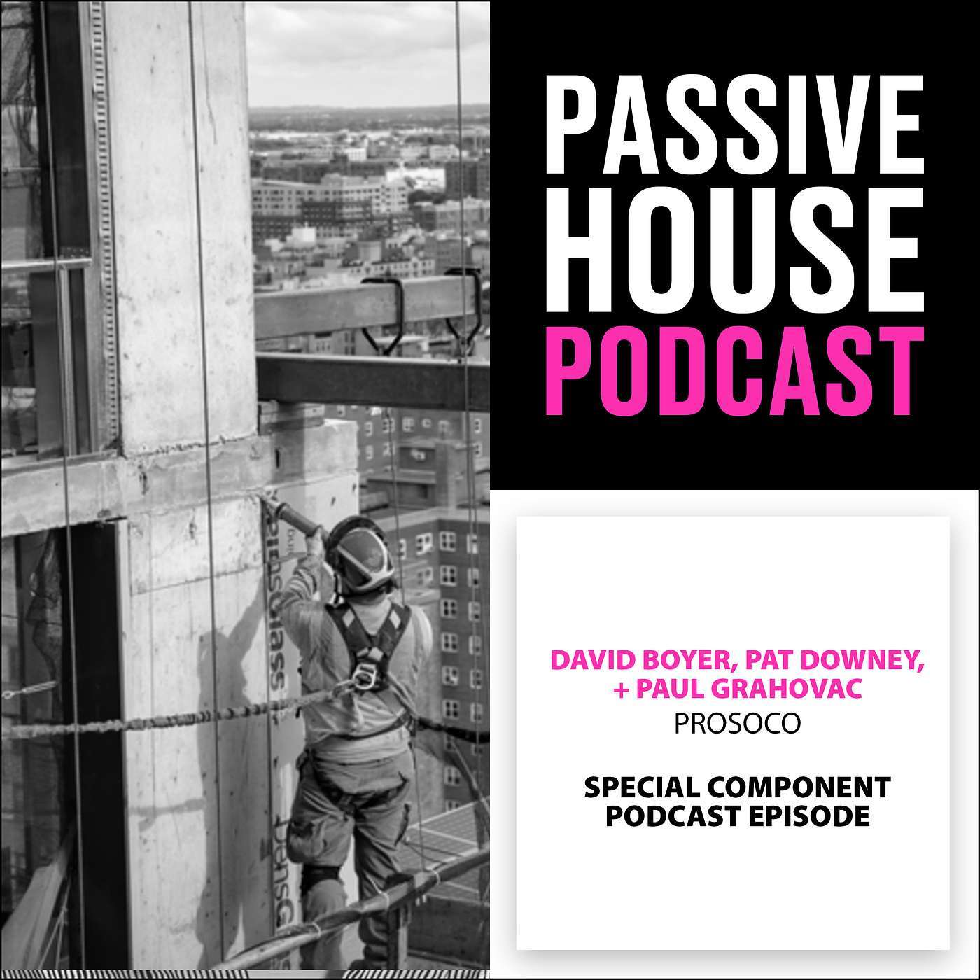 Special Passive House Component Episode: David Boyer, Pat Downey, and Paul Grahovac, PROSOCO