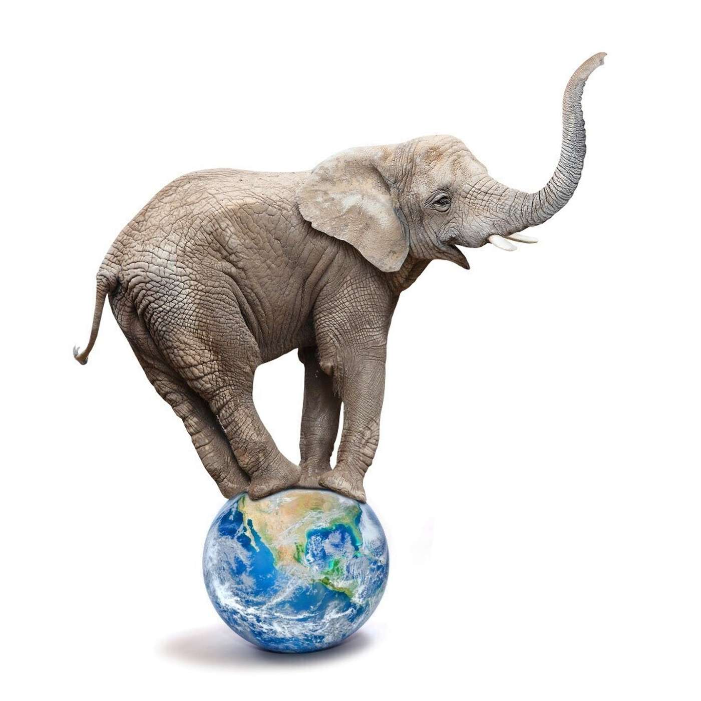 Elephant in the Room Explores the Current Status of Our Changing Climate episode artwork