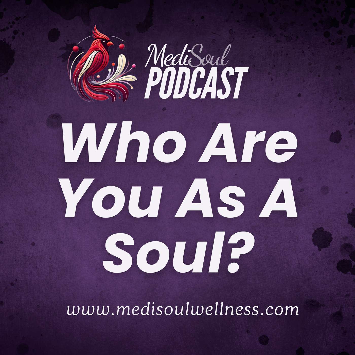 Who Are You As A Soul? episode artwork