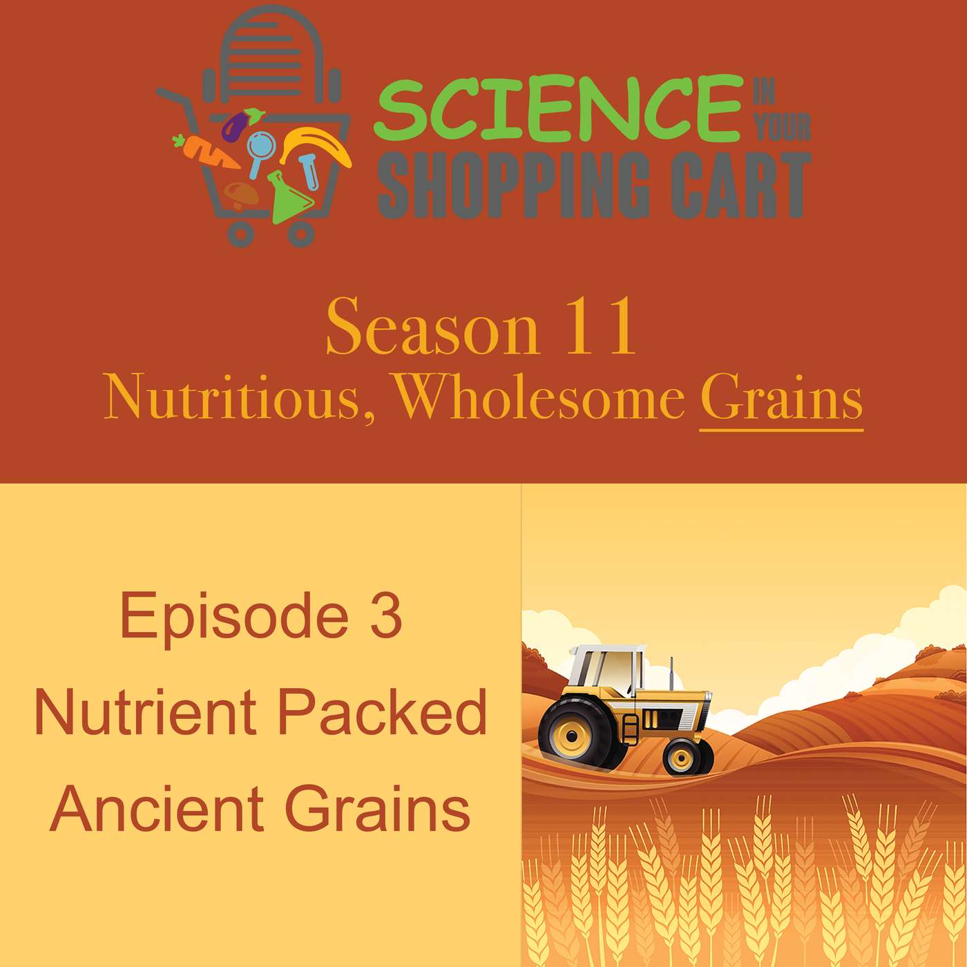 Season 11: Wholesome, Nutritious Grains | Episode 3:  Nutrient Packed Ancient Grains