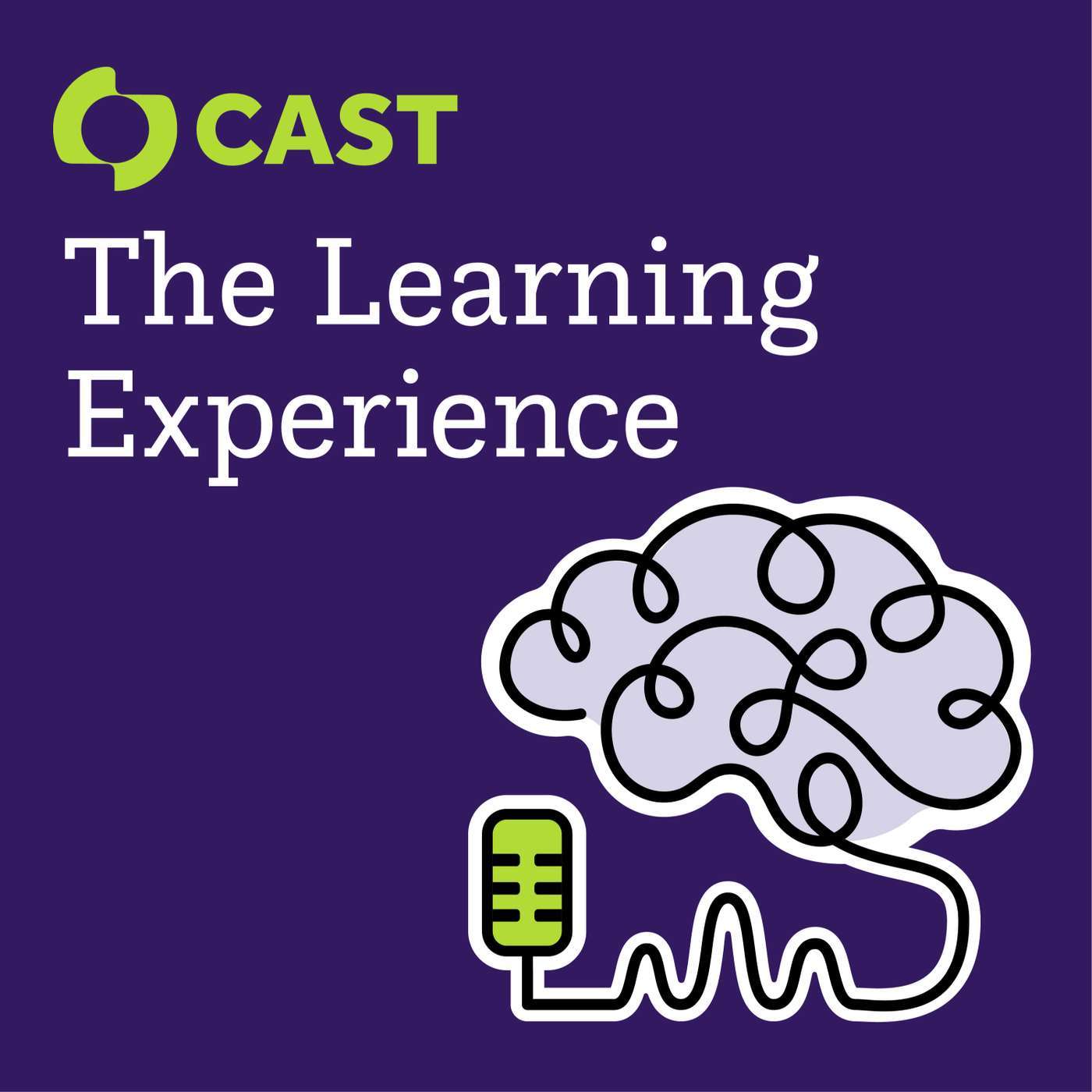 The Learning Experience: Education Talk Radio’s Conversation about UDL: Accessibility by Design with CAST's Christine Fox & Niel Albero episode artwork