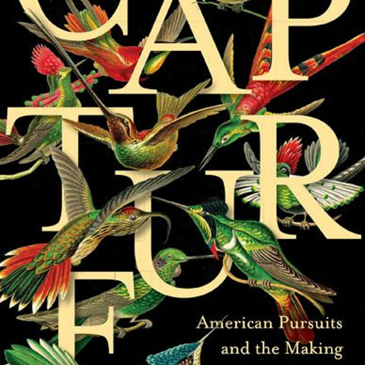 University of Minnesota Press