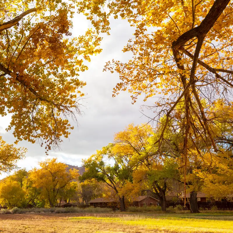 Karmels hage -Trosbekjennelsen episode 40: Unnfanget av Den Hellige Ånd, født av Jomfru Maria
