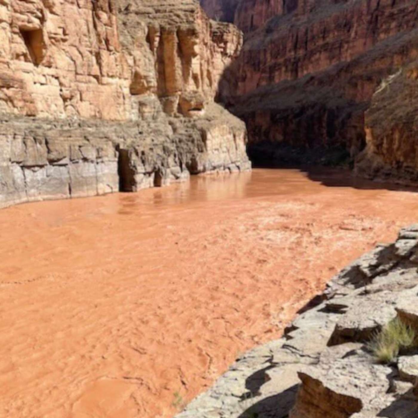 Flash Flood Claims Life in Canyon, Tropical Storm Hone Approaches Hawaii, Fauci Recovers from West Nile, Chargers and Cowboys Preseason Finale, and more...