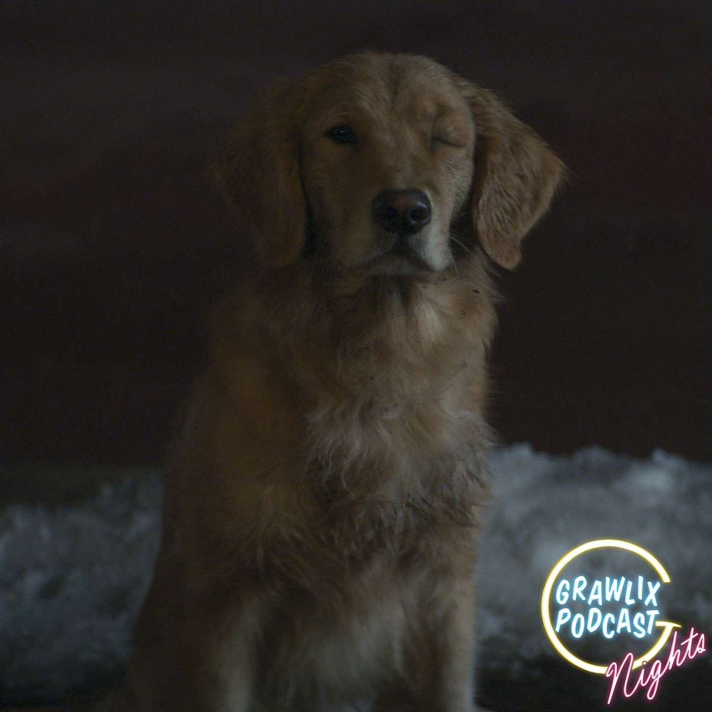 The Mundane Crime Podcast - Nights The Mundane Crime Podcast - Nights