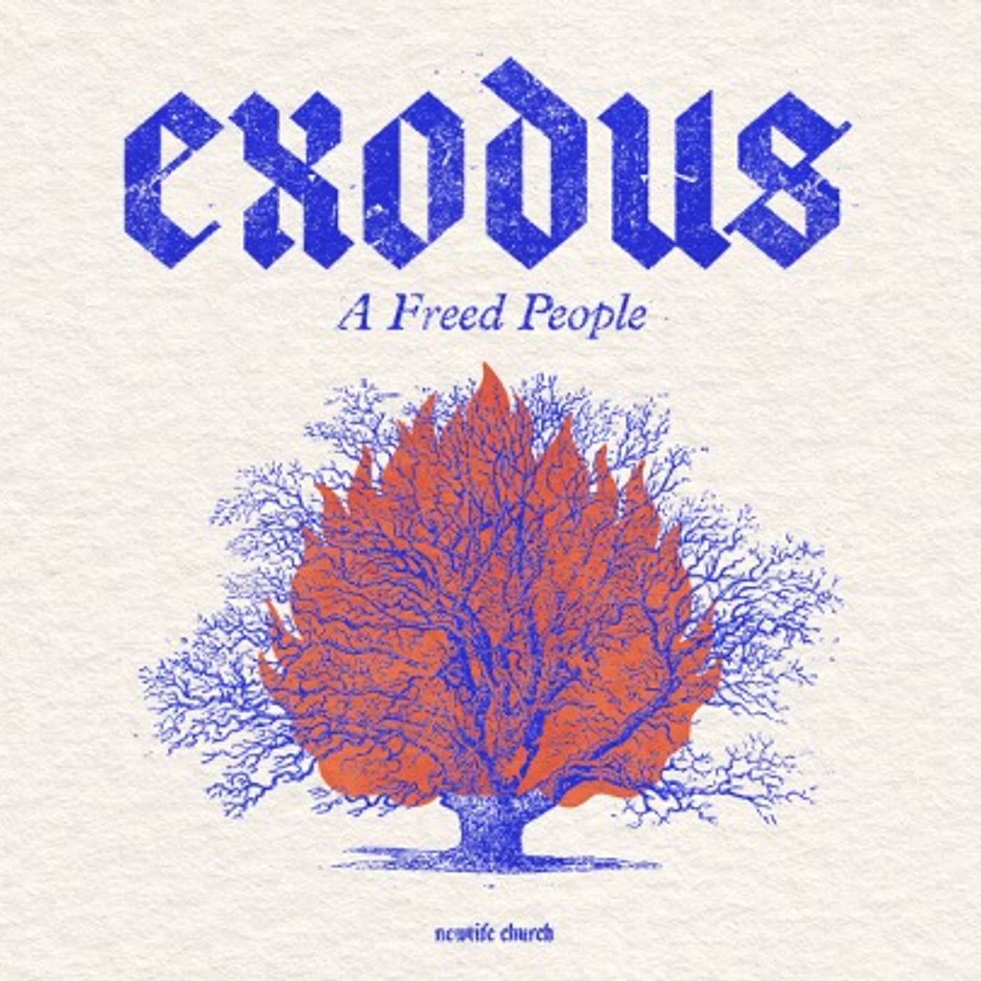 Exodus: We do what we can