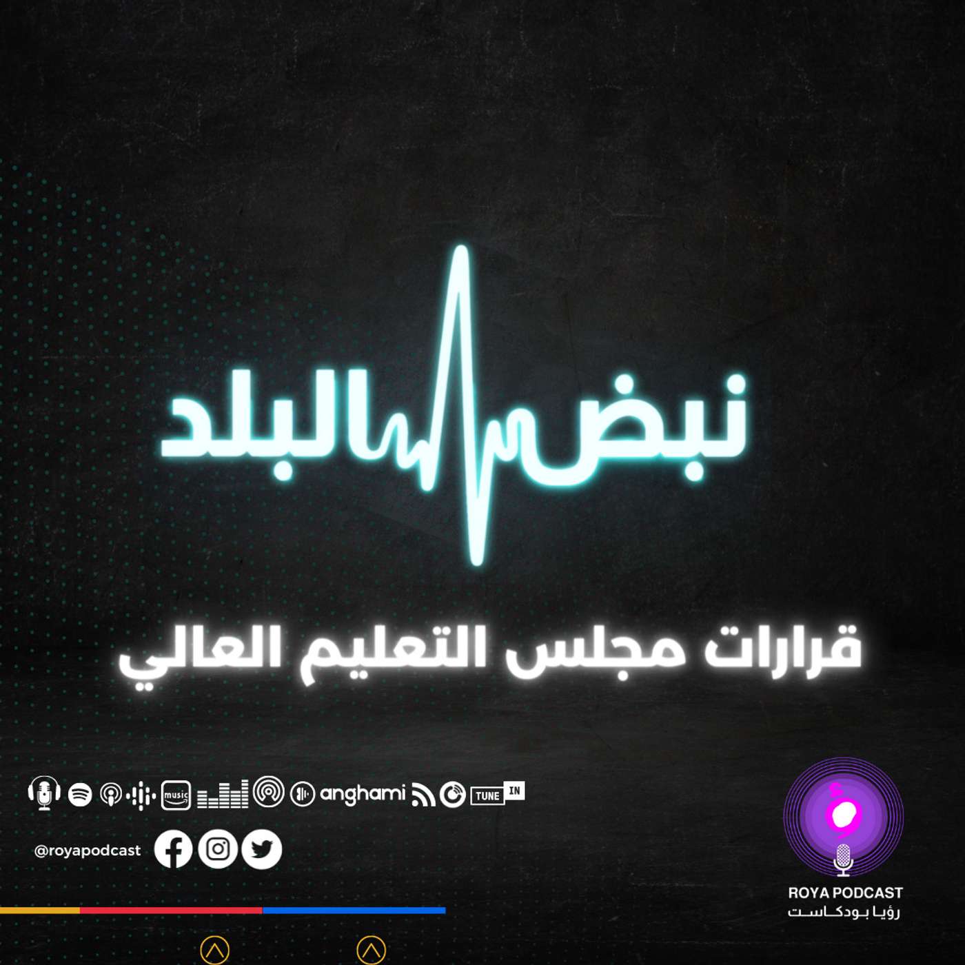 قرارات مجلس التعليم العالي