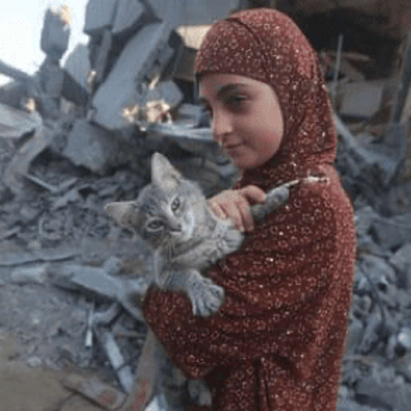 ep. 170 - The Doctor From Palestine