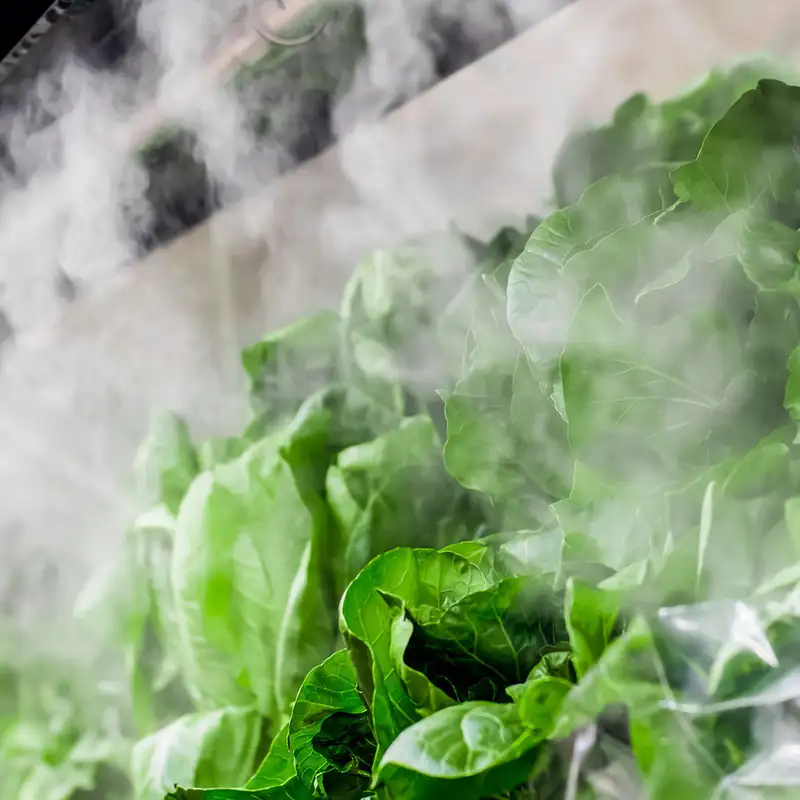 #209: On Second Thought, I’m Good