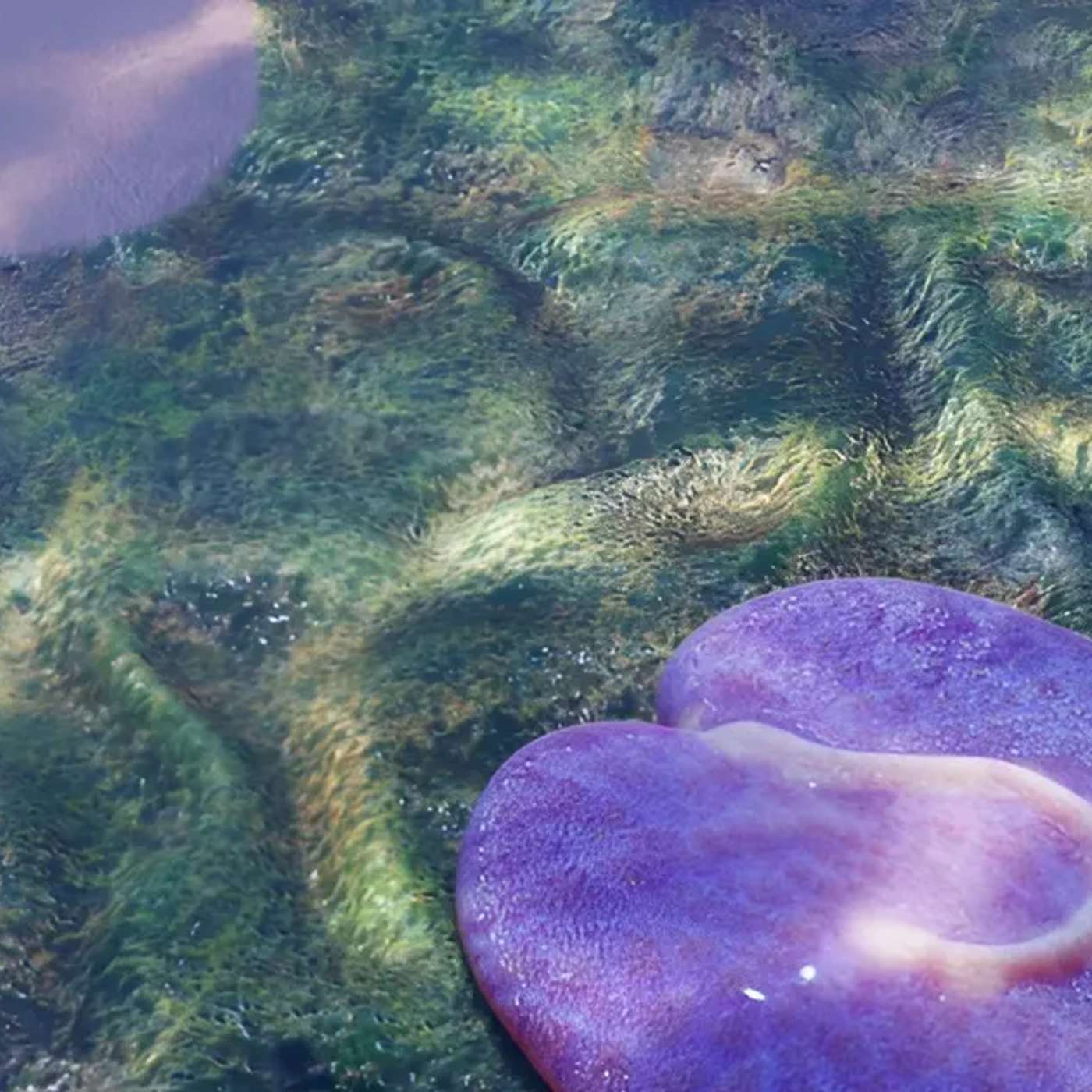 Lithium Demand Spurs Innovations, Ancient Fossil Discovery in Australia, Breakthroughs in Climate-Resilient Crops, Genprex Advances Lung Cancer Therapy, and more...