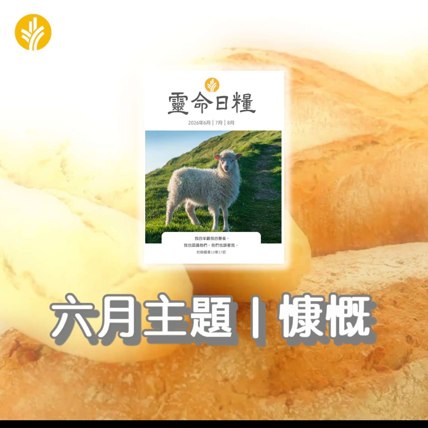 6月11日  作好準備