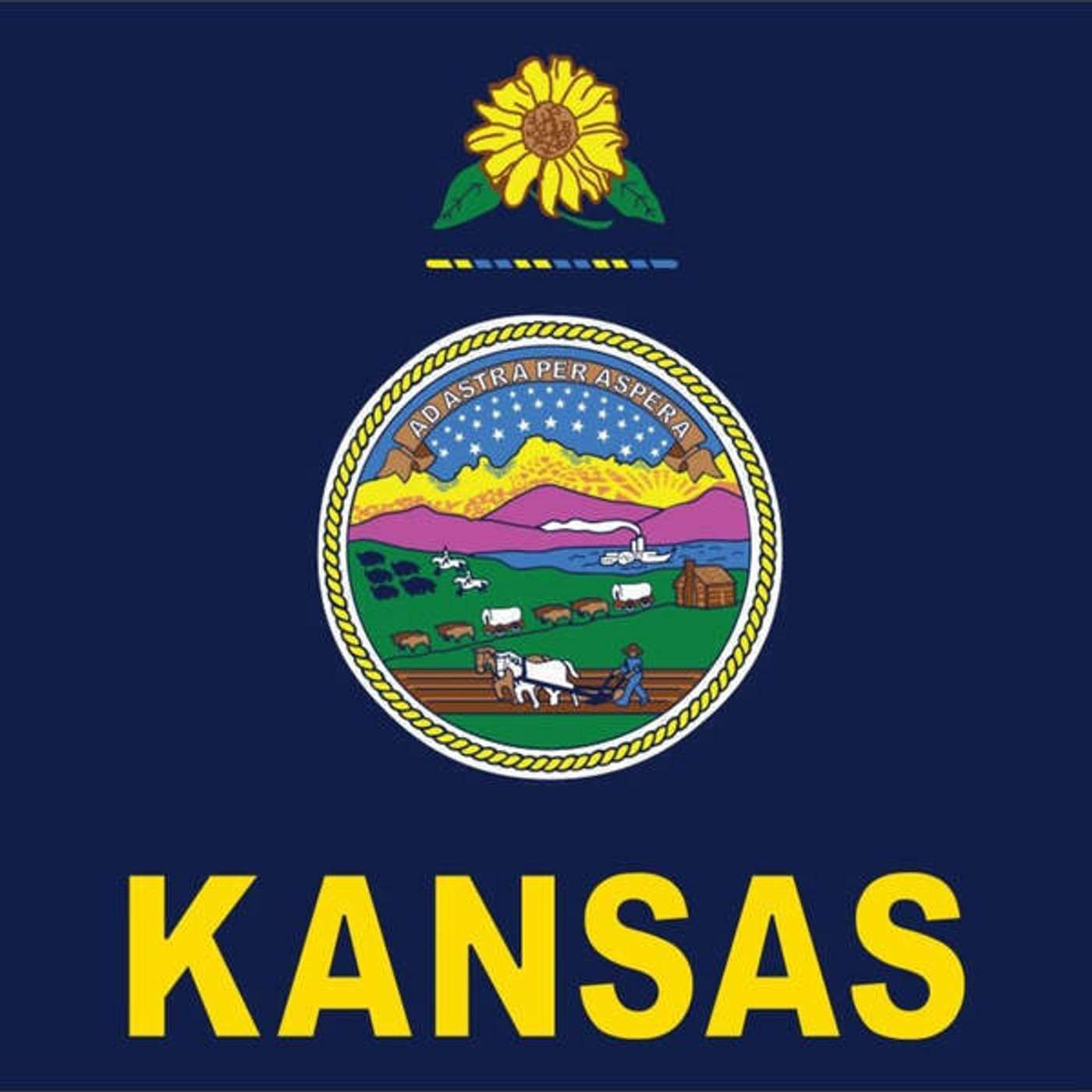 Os Estados Unidos da América apresentam: Fun Facts of Kansas! episode artwork