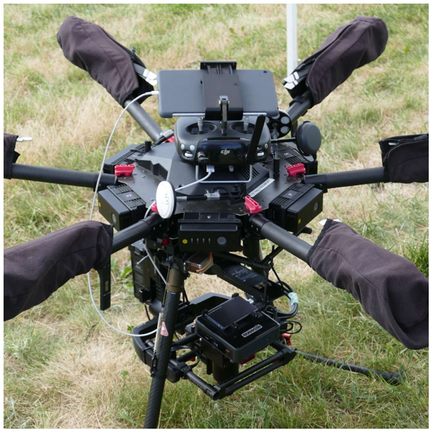 Active sensors & variable rate nitrogen: What MN farmers should know