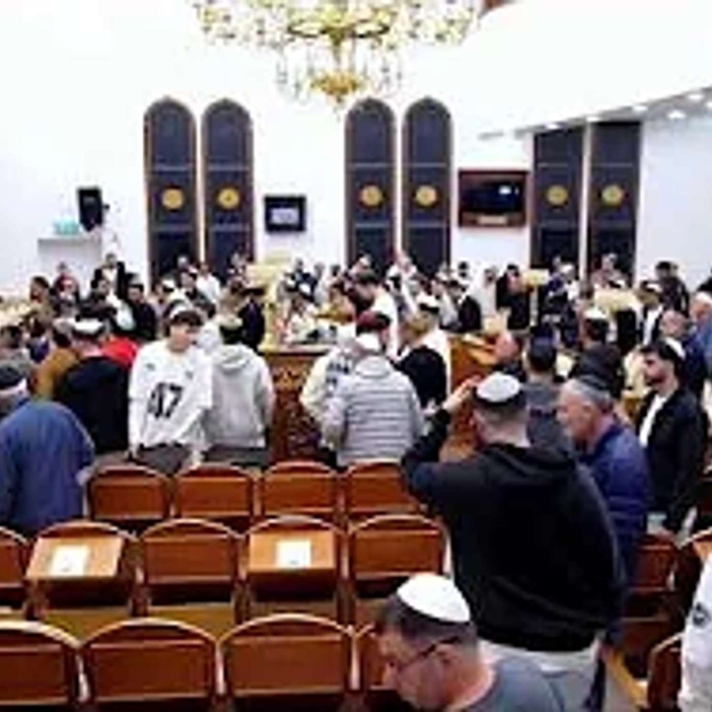 הרב רפאל  אבוחצירא | תרומה| איזה לב יש לך| ❤️❤️❤️