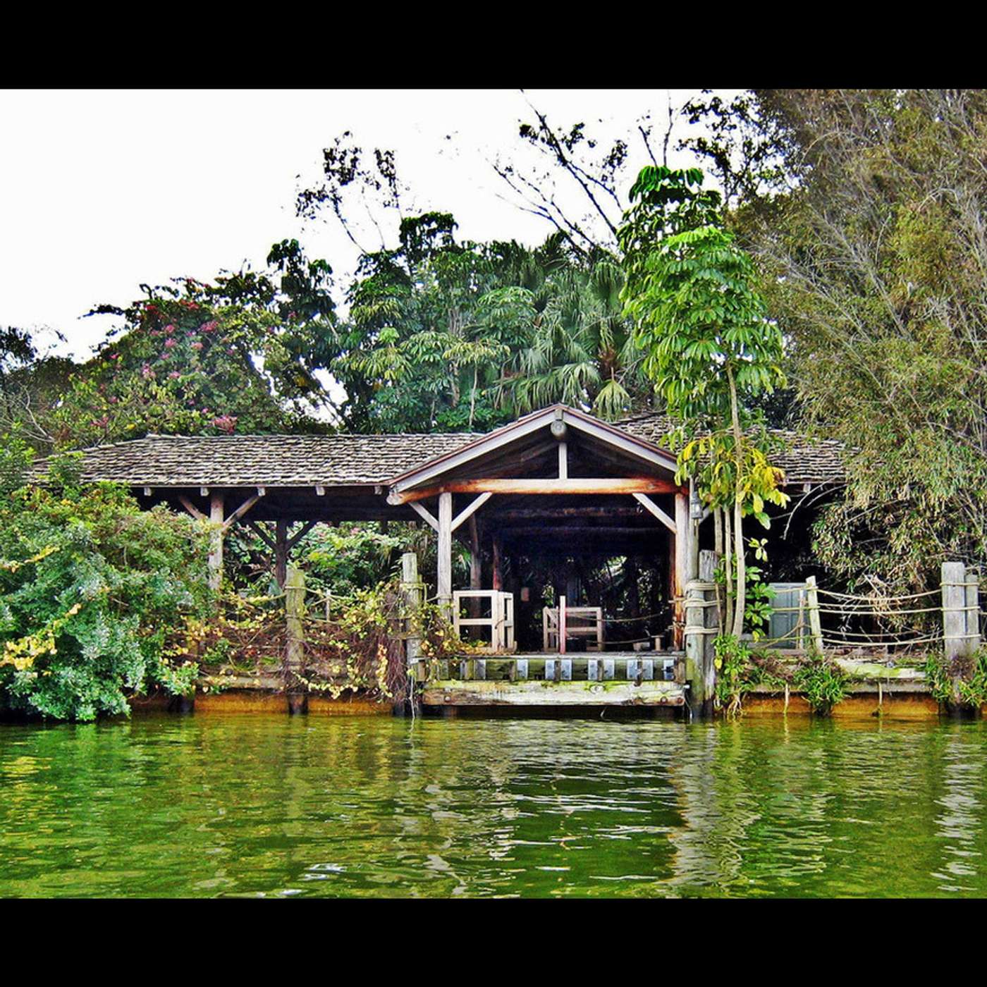 Episode 44: Discovery Island episode artwork