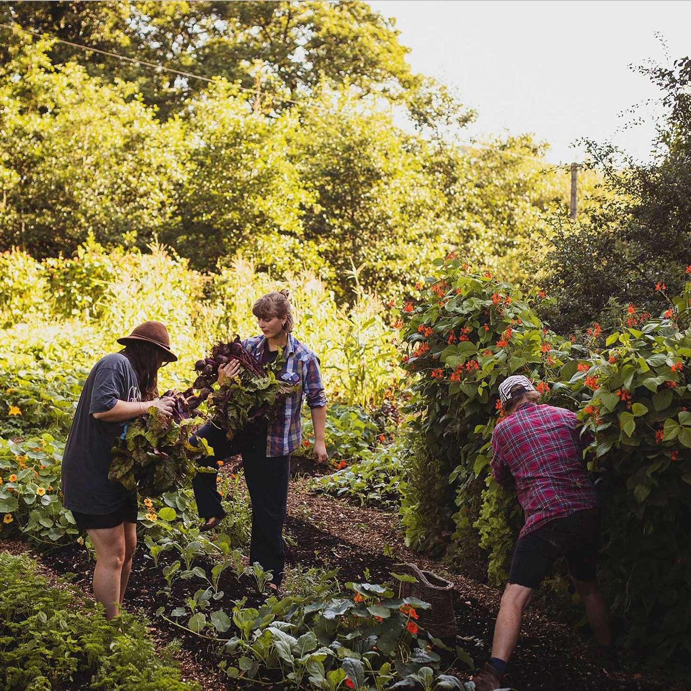 Farm as Church, Land as Lover: Community. farming and food with Abel Pearson of Glasbren