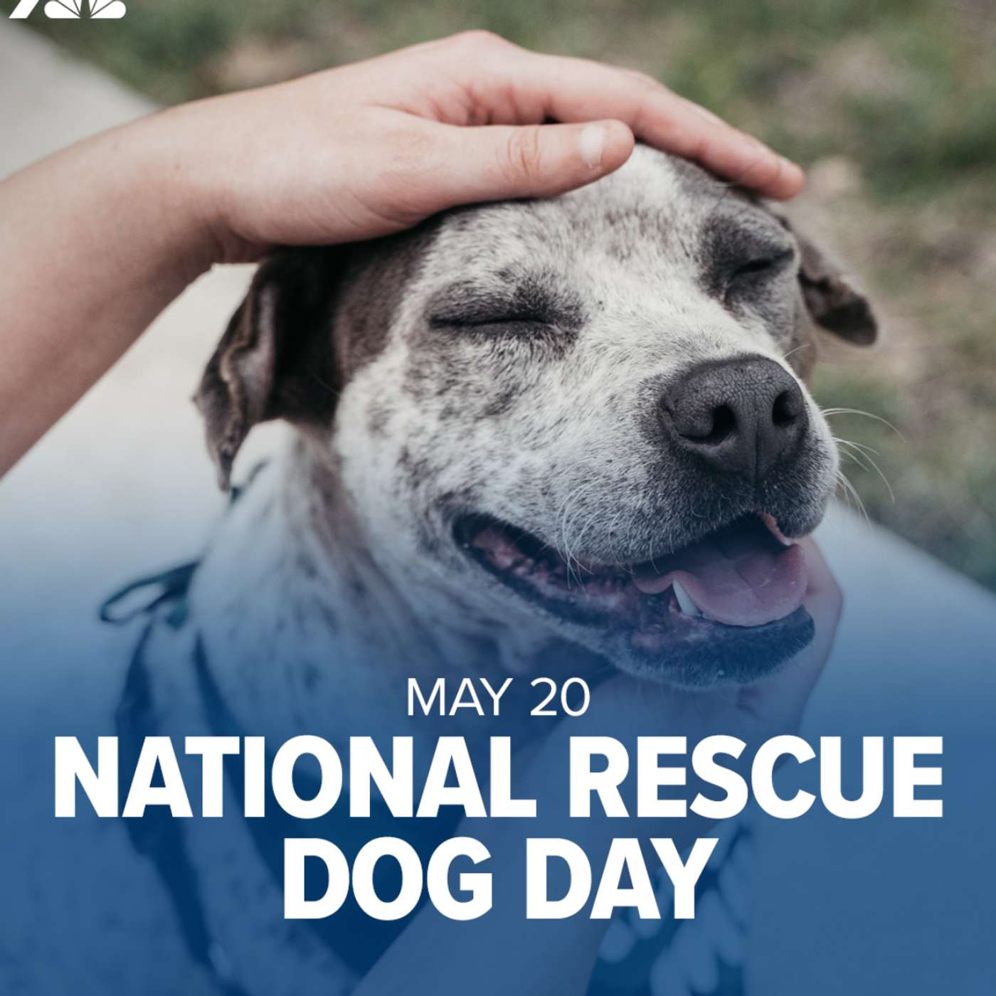 “Two Years to Home: The Rescue of Kia”