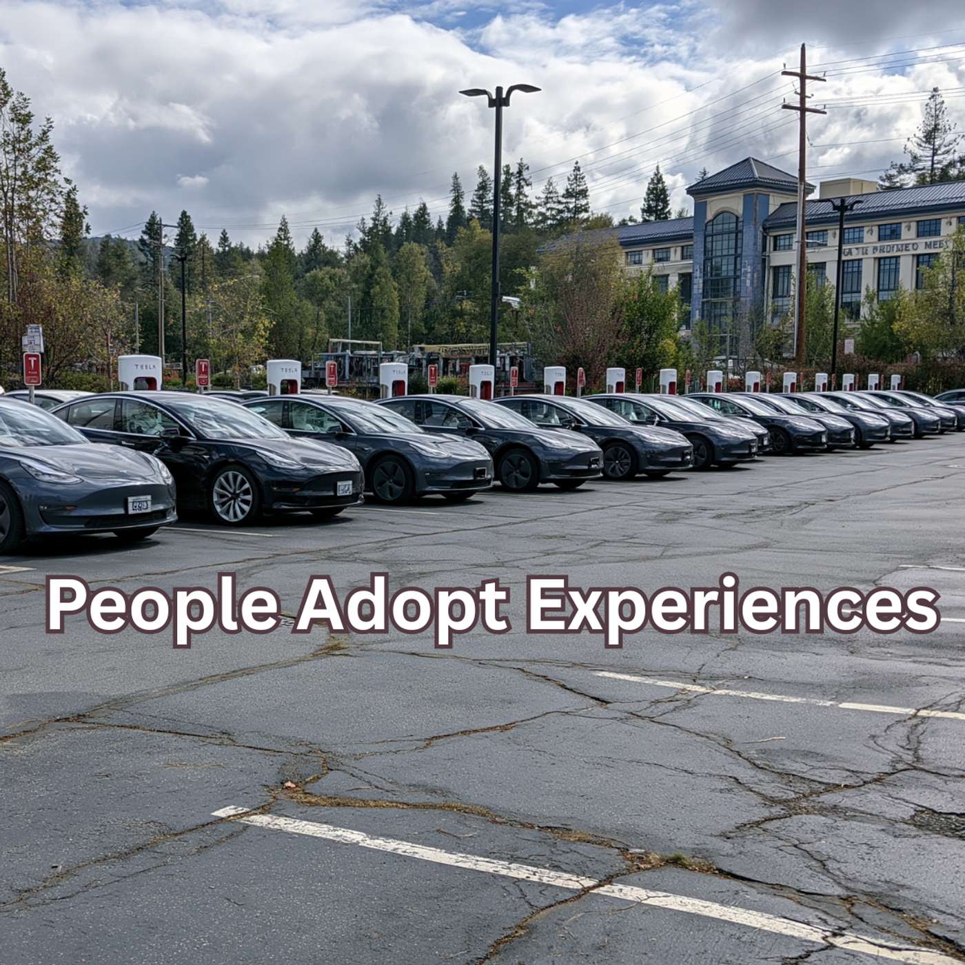 Day 255 - People Adopt Experiences episode artwork