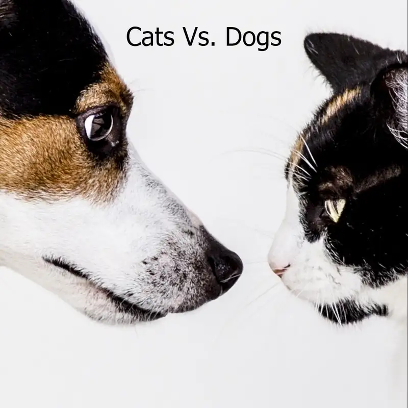 Cats Vs. Dogs