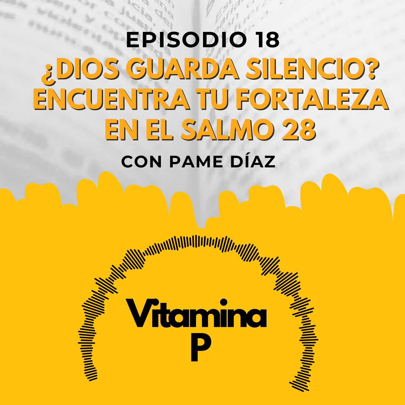 Portada de Vitamina P