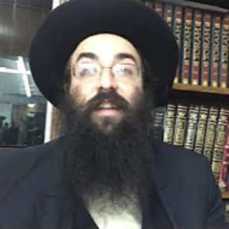 Moshiach Mindset: SYNTHESIS - Rabbi Sholom Zirkind - Sicha Insights