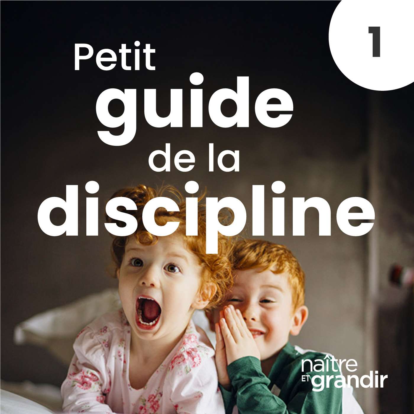 Petit guide de la discipline d\'aujourd\'hui