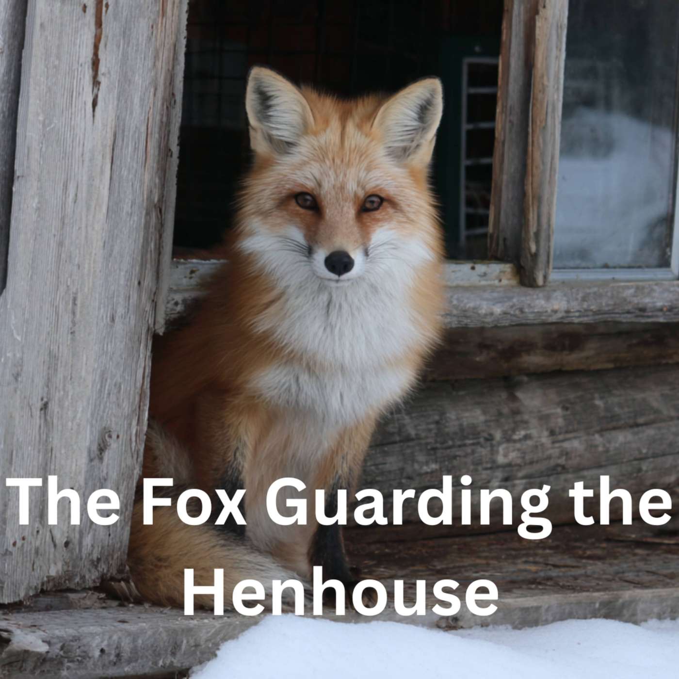 Day 358 - The Fox Guarding the Henhouse episode artwork