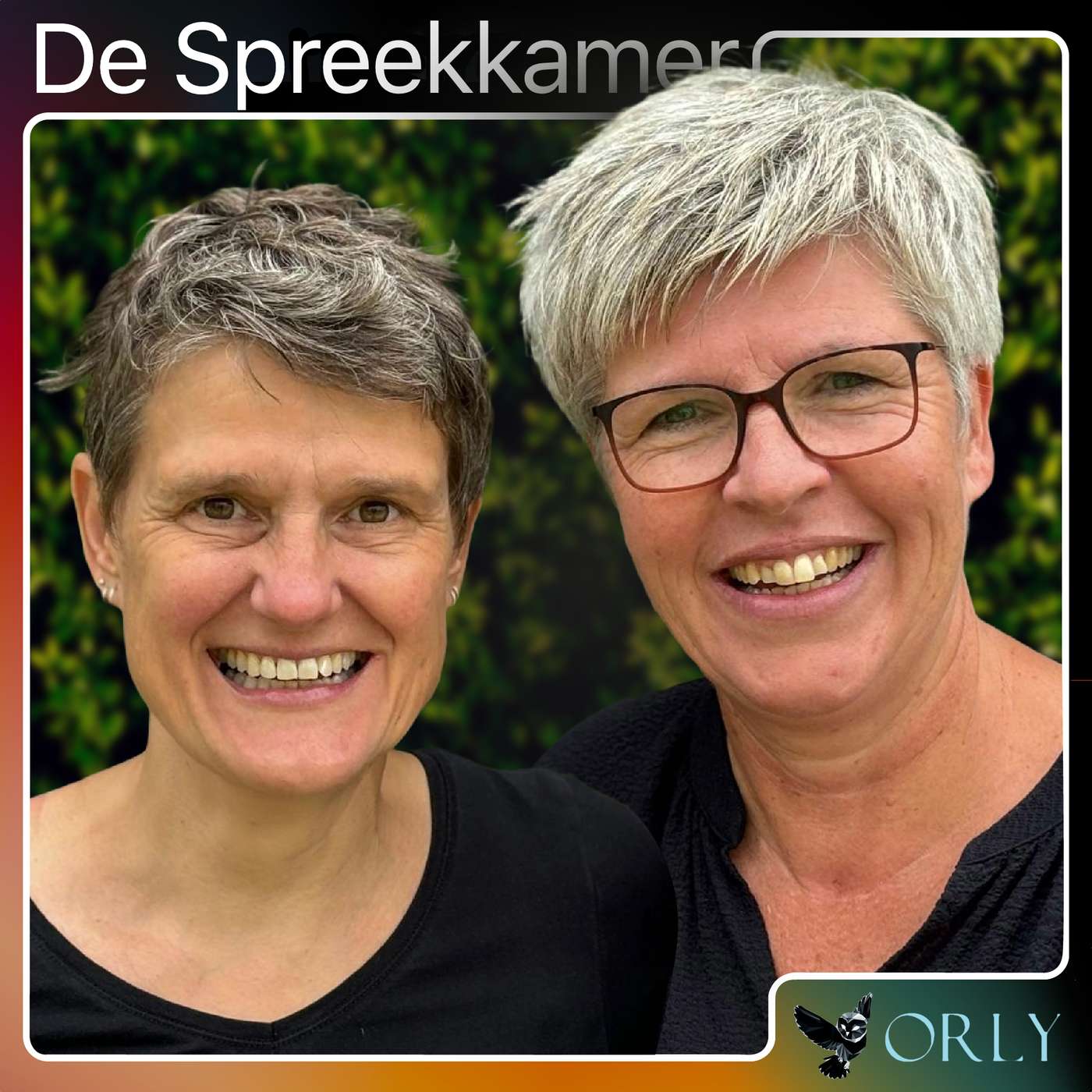 Telemonitoring door de ogen van de verpleegkundigen, met Anne-Marie van Zanten en Karianne Hoek