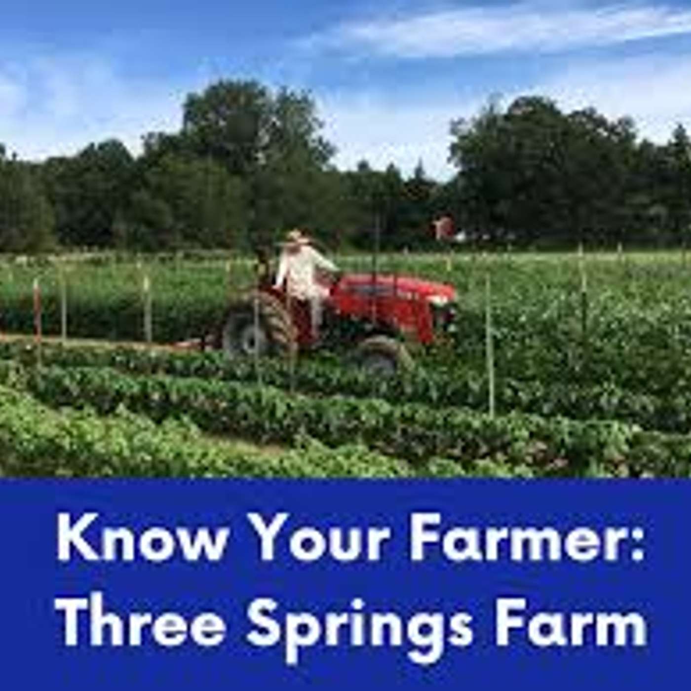 The Organic Farm Stand, Nov. 2025: A New Stand-Alone Real Organic Label?