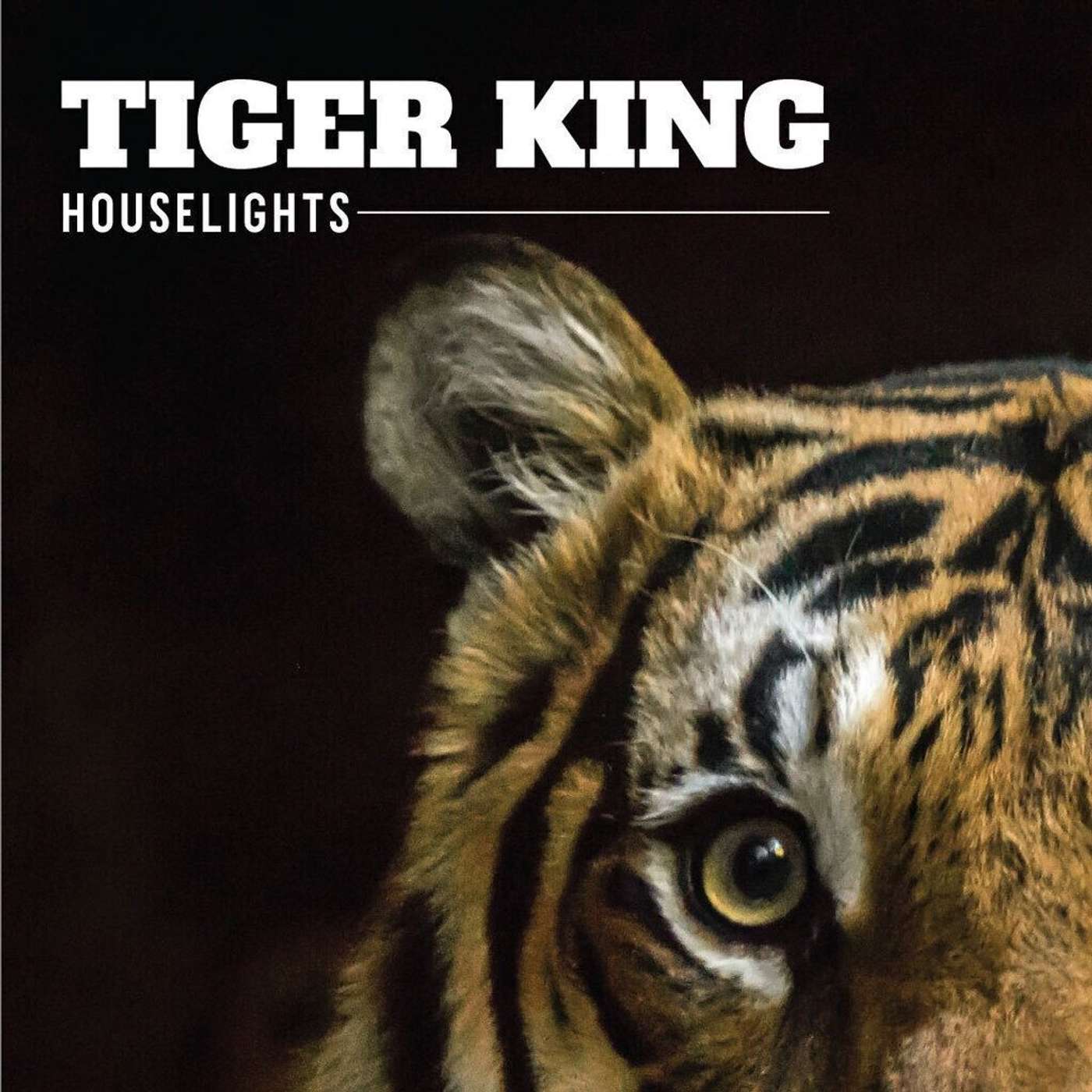 Tiger King episode artwork