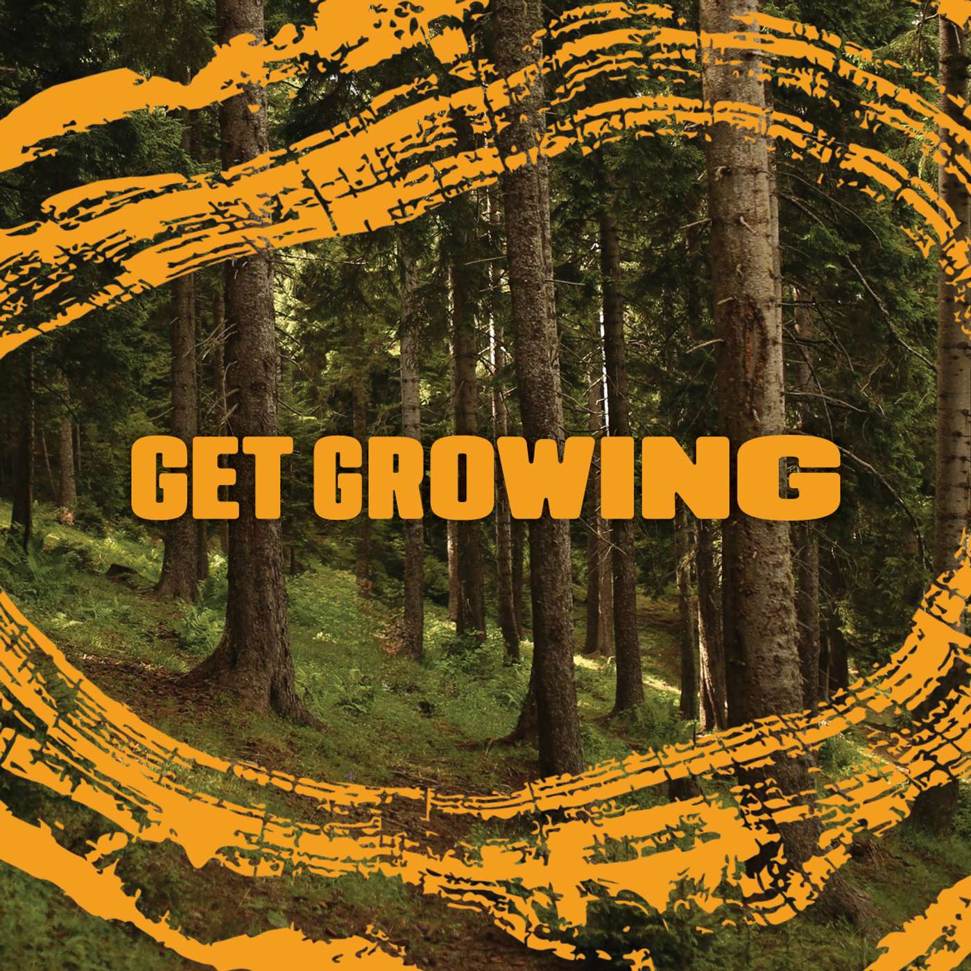 God’s Path for Your Growth