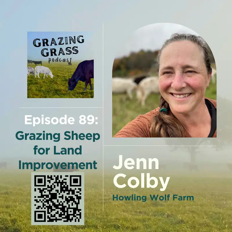 e89. Grazing Sheep for Land Improvement with Jenn Colby