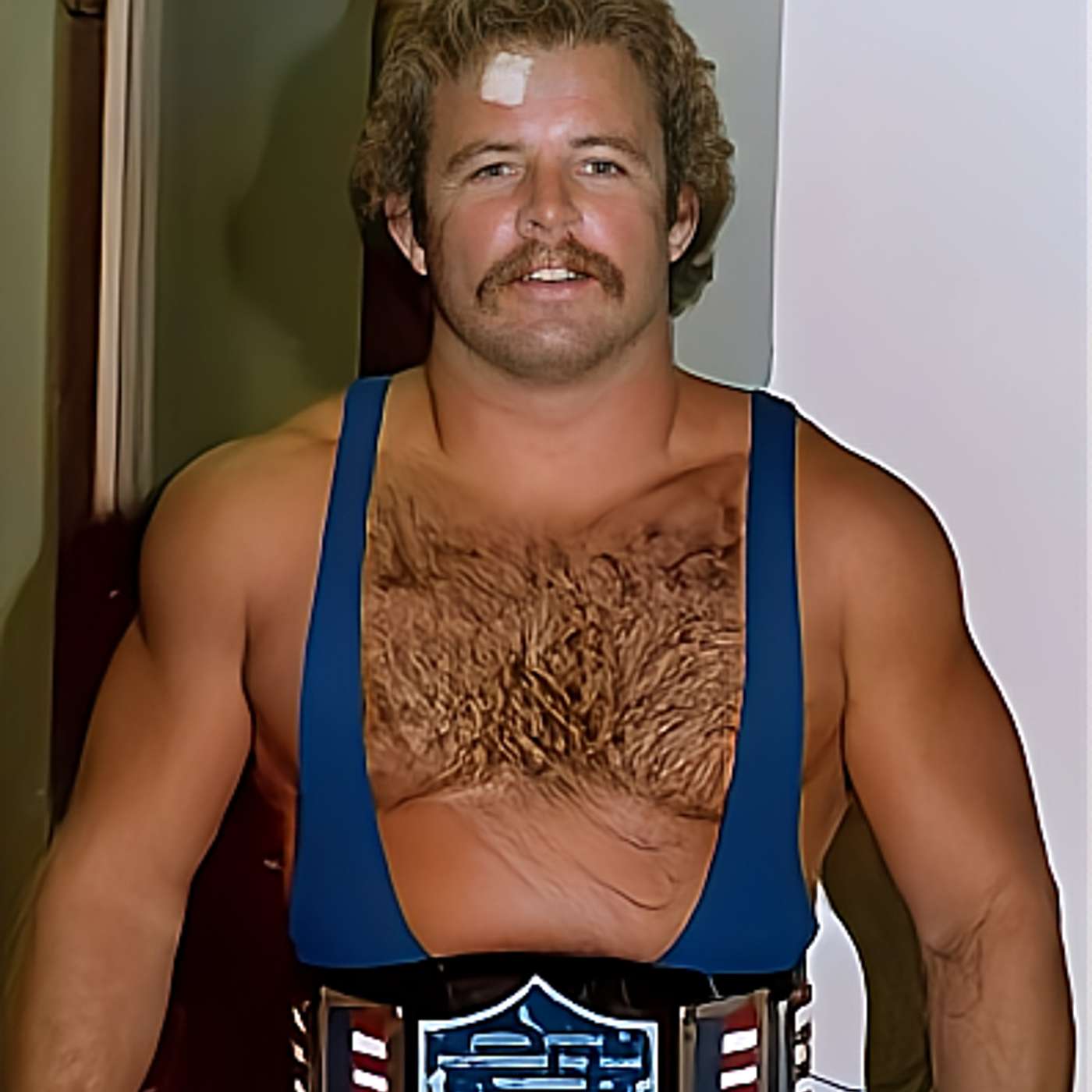 Episode 35: Mike Graham, Rick Martel Rib, Larry Hennig, & More episode artwork