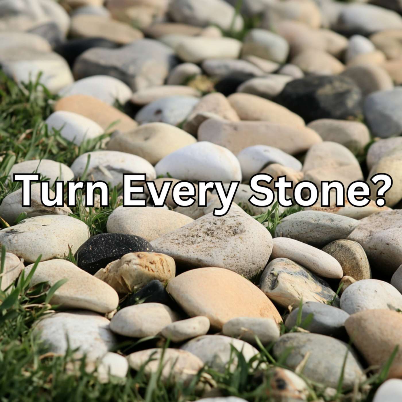 Day 167 - Turn Every Stone? episode artwork