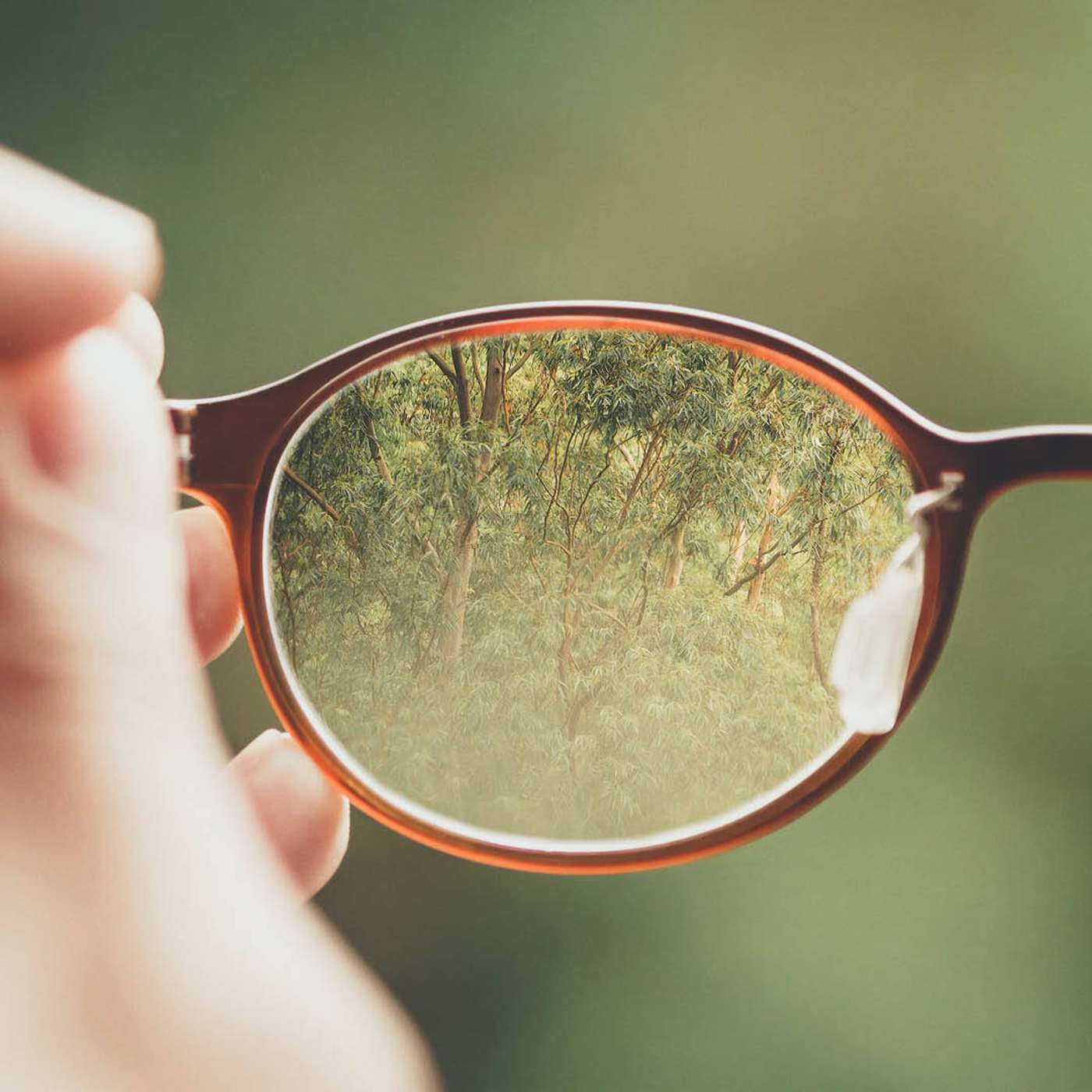BLOG | Behold Your King (Who Died): Putting on God’s Corrective Lenses episode artwork