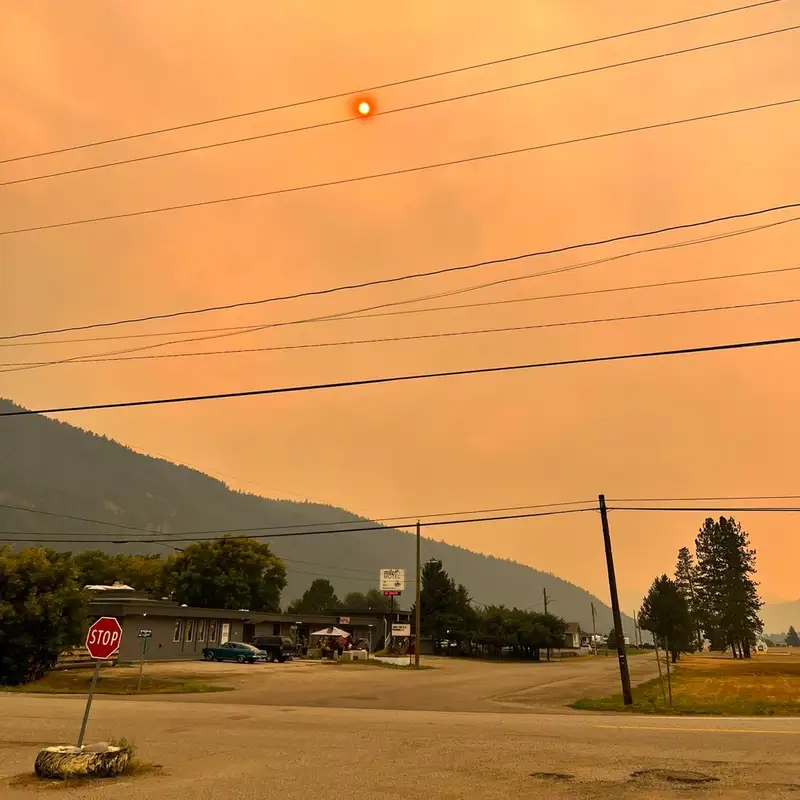 An Update on Justin and Wildfires