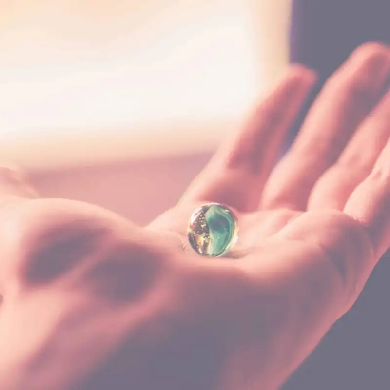 A internet e a polarização de opiniões!