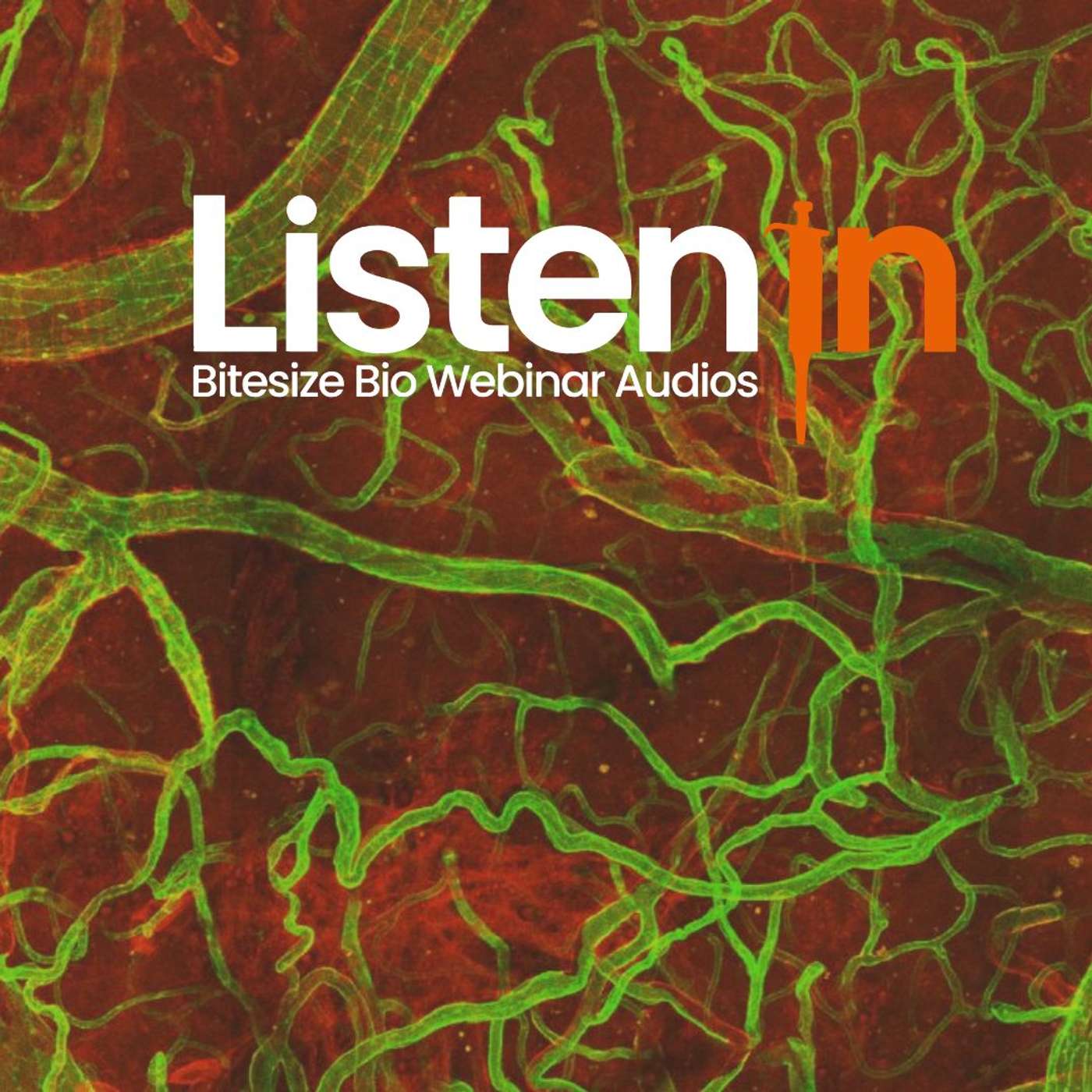 Windows On Neurovascular Pathologies Windows On Neurovascular Pathologies