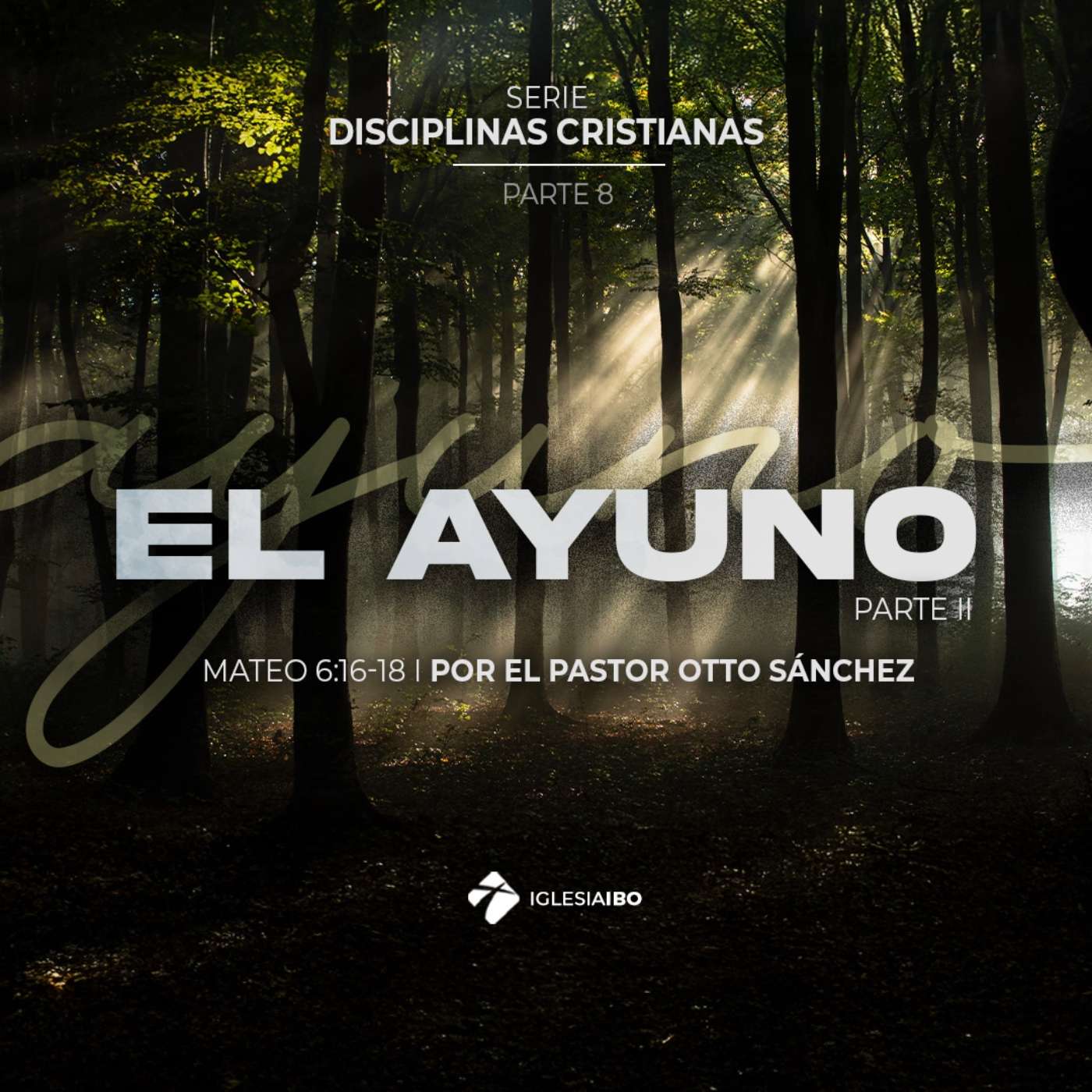 El ayuno II - Disciplinas espirituales - Parte 8