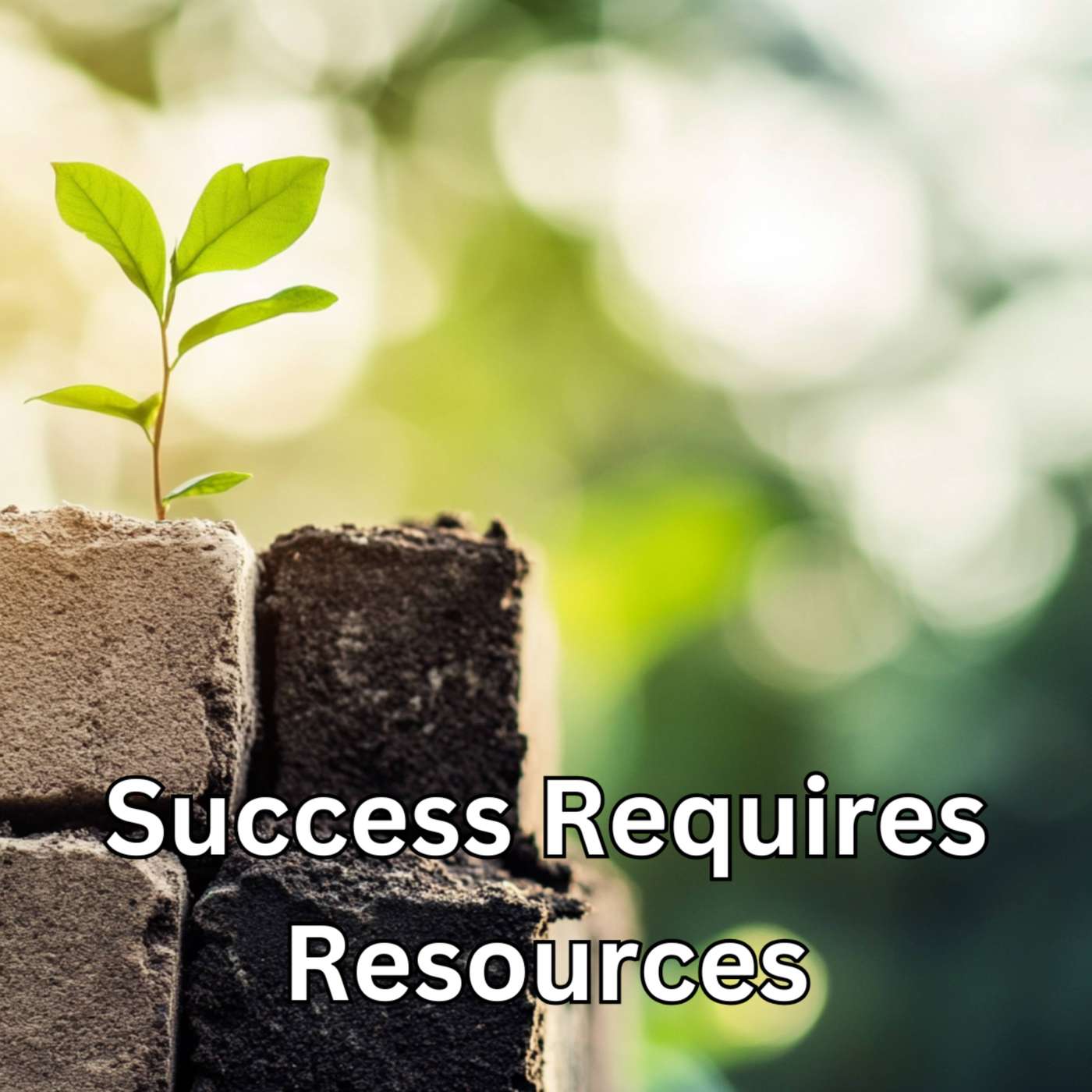 Day 121 - Success Requires Resources episode artwork