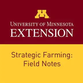 Strategic Farming: Field Notes