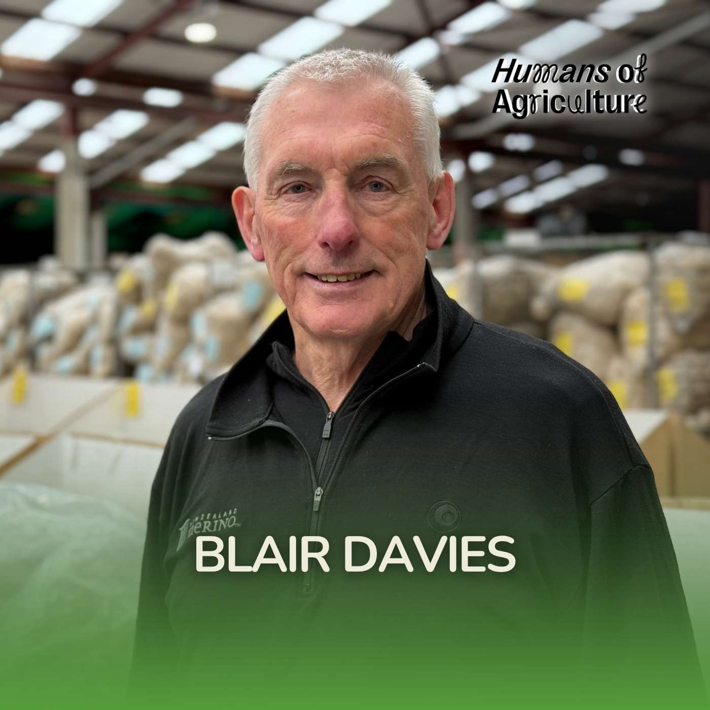 Play Blair Davies has spent 50 years in the wool industry…and still learning everyday