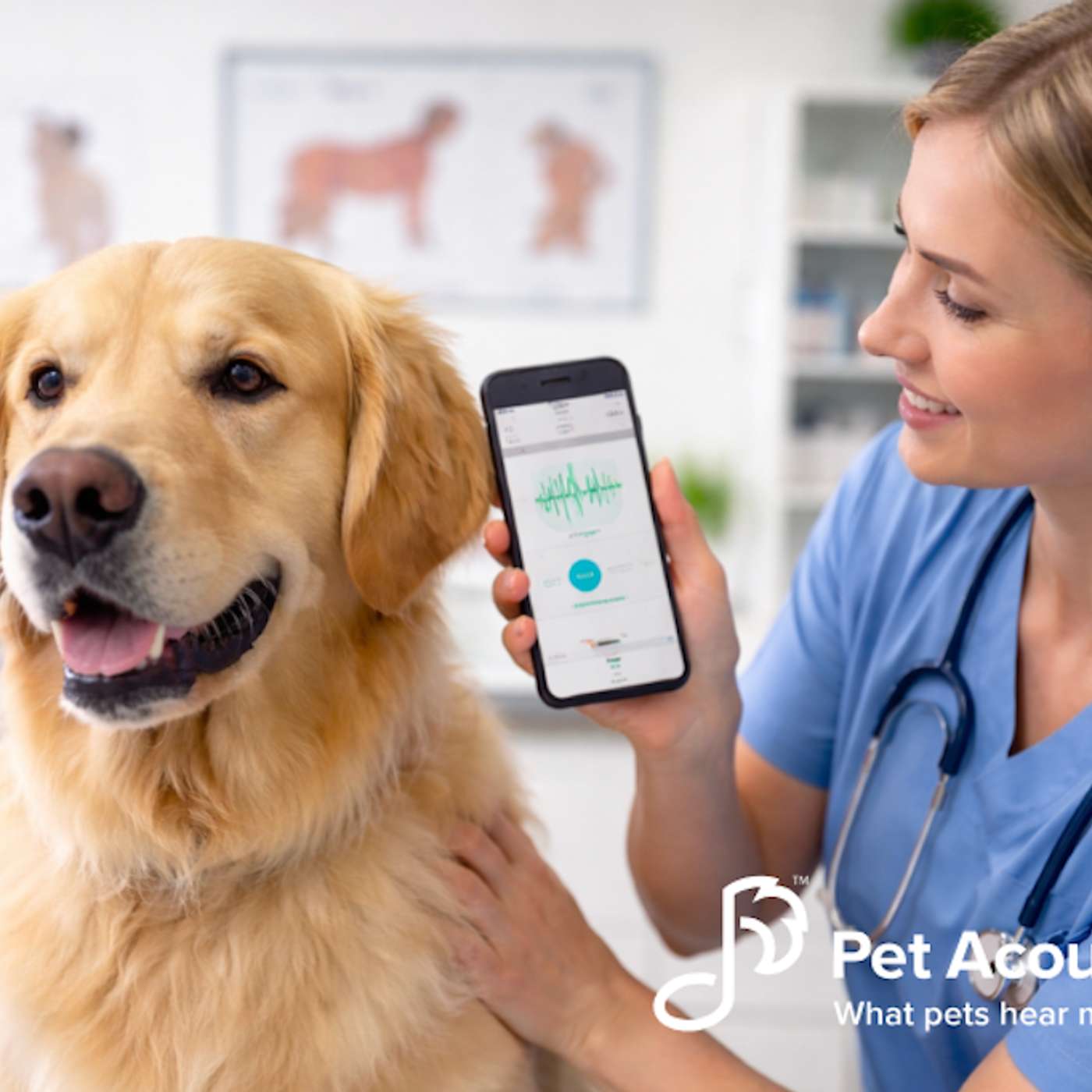 Pet Acoustics: We\'re All Ears!