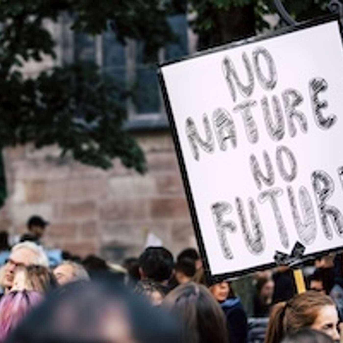 U.N. Climate Week Events Feature Presentations on the ‘Rights of Nature’