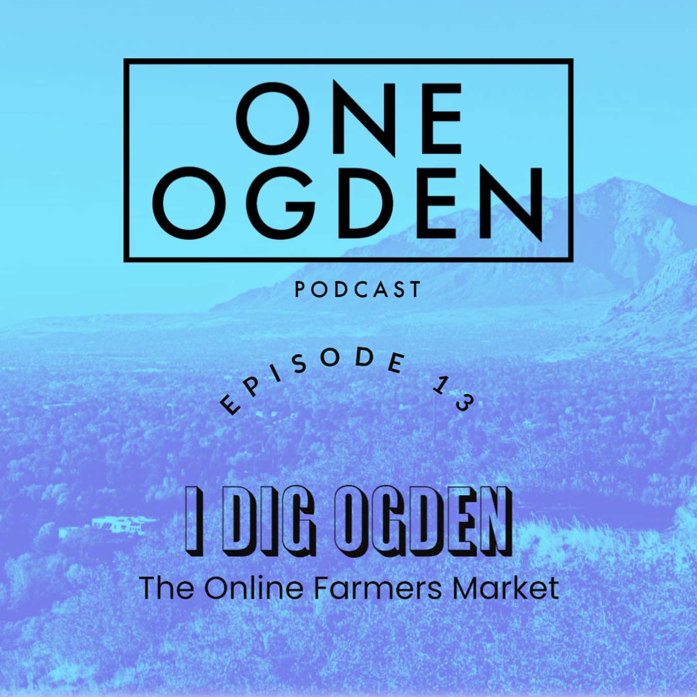 One Ogden