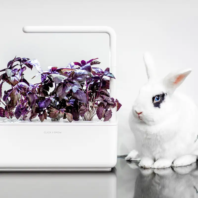 UK's “digital services tax,” lessons learned from Blizzard and Click & Grow, interview with EarlyBird's Christian Nagel, and more